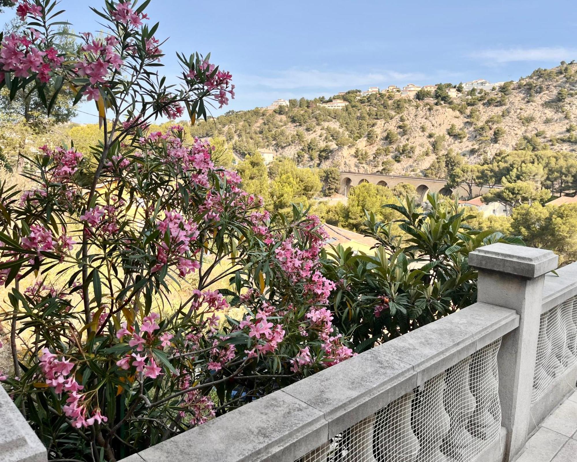 La Casa Calanquaise - Mer A 250M Accessible A Pied - T2 Spacieux Independant - Terrasse Ombragee إنسويس-لا-رودون المظهر الخارجي الصورة