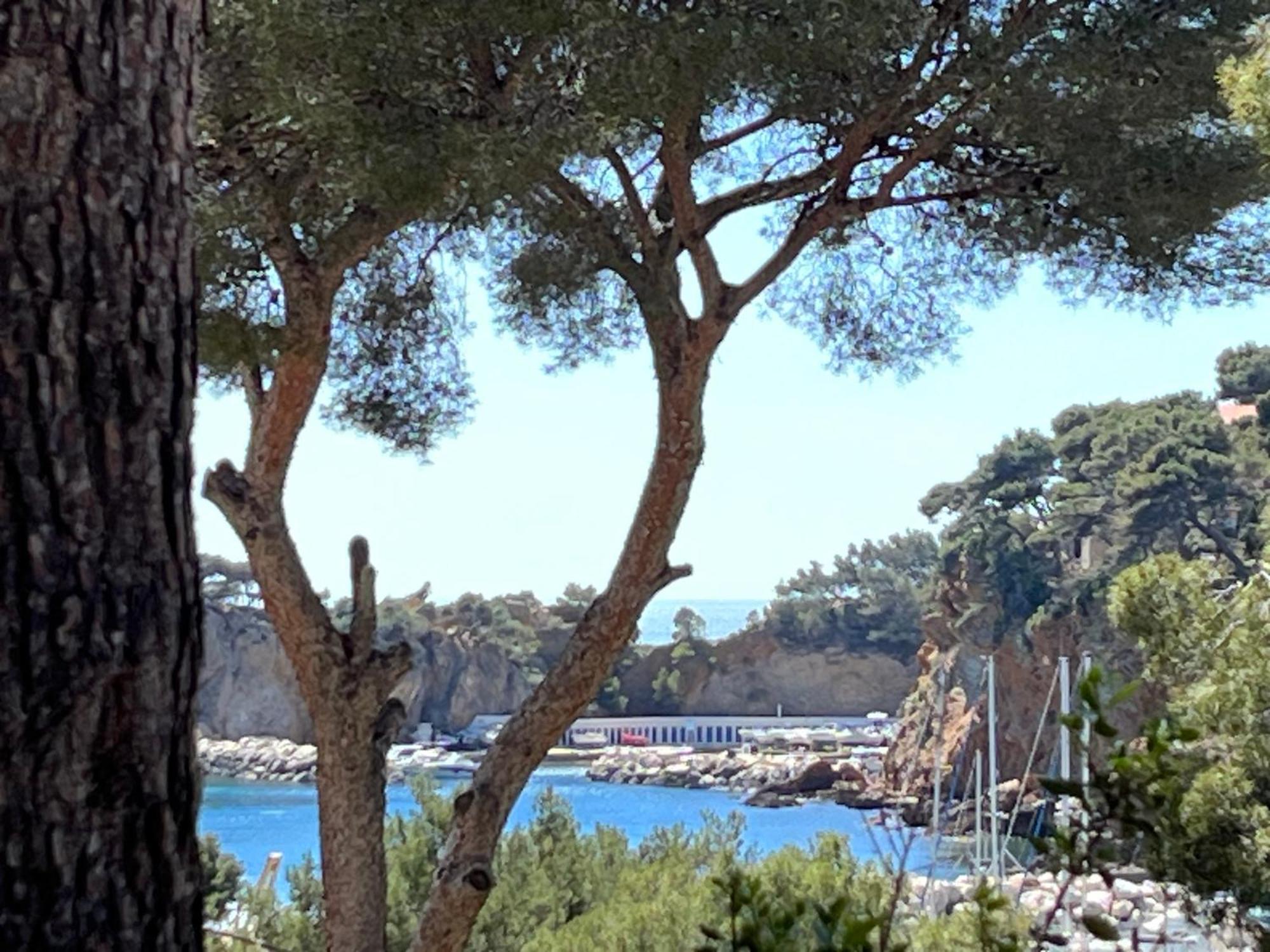 La Casa Calanquaise - Mer A 250M Accessible A Pied - T2 Spacieux Independant - Terrasse Ombragee إنسويس-لا-رودون المظهر الخارجي الصورة